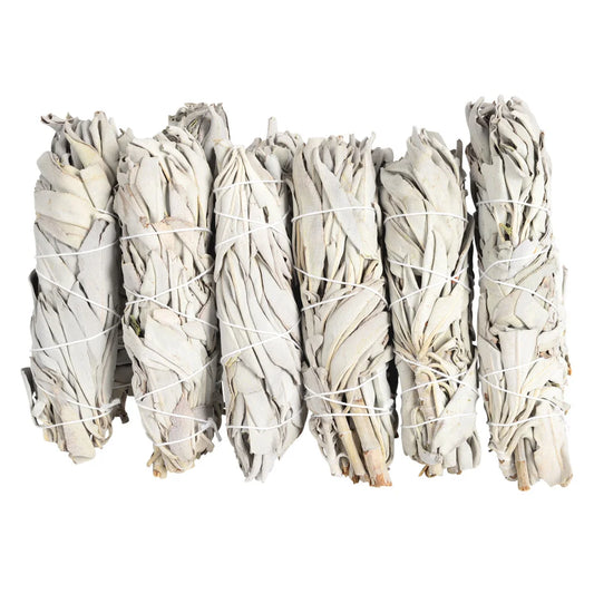 California White Sage Smudge Sticks (Bulk)